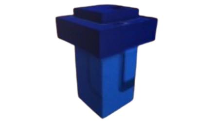 10x MUSHROOM SEED